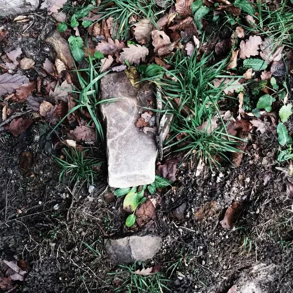 Yağ (Demo)