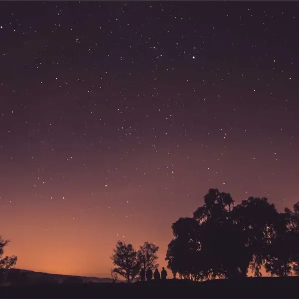 Demo Ürün 1 (Demo)