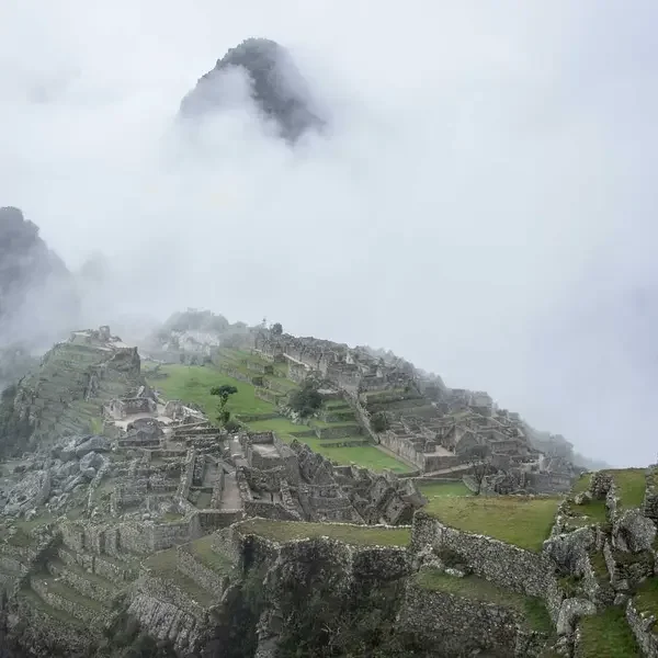 Demo Ürün 3 (Demo)