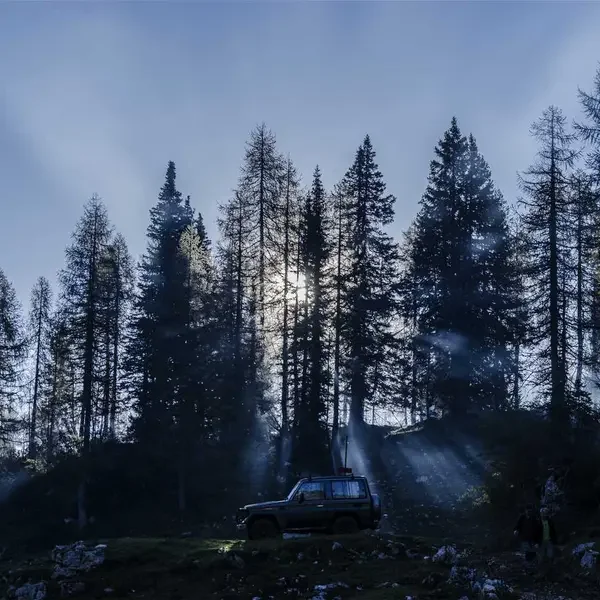 Demo Ürün 3 (Demo)