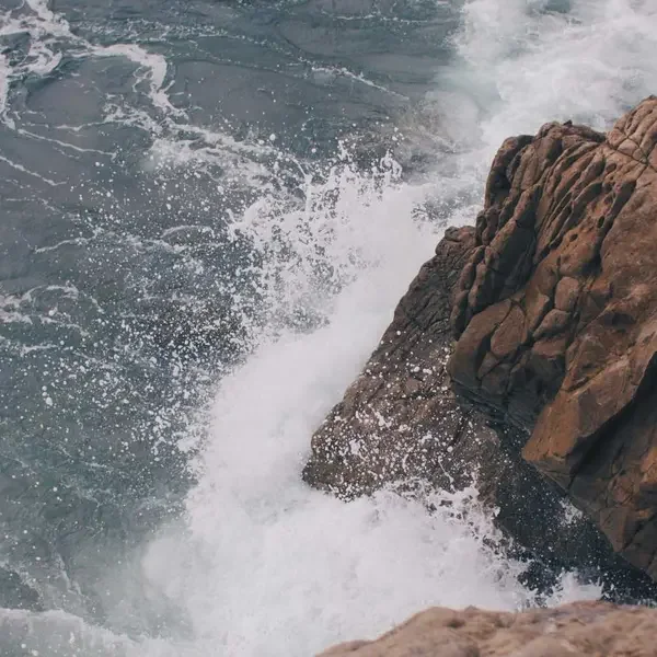 Şampuan (Demo)