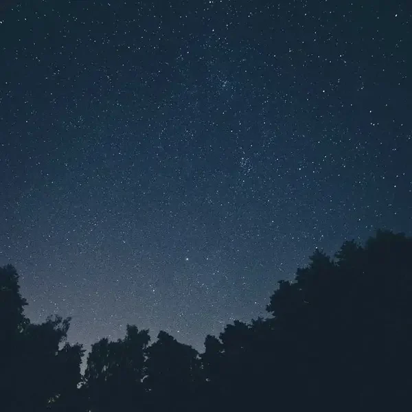 Serum (Demo)