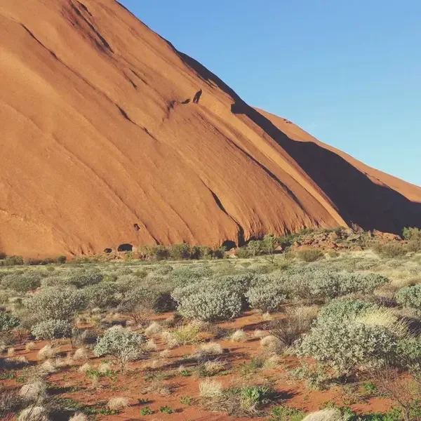 Demo Ürün 3 (Demo)