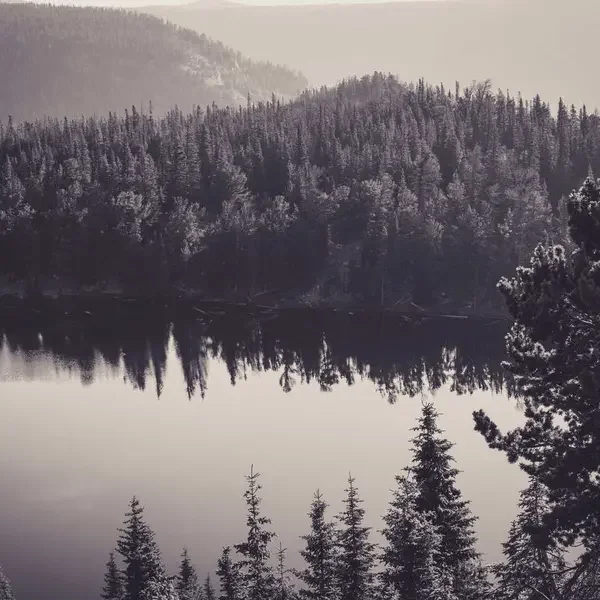 Saç Maskesi (Demo)