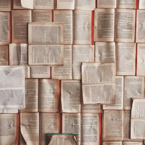 Demo Ürün 2 (Demo)