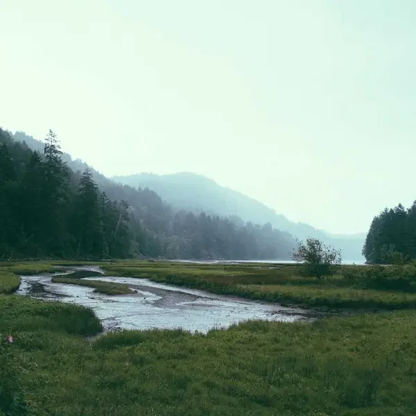 Renkli Bisiklet Yaka (Demo)