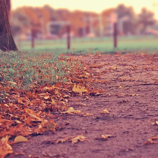 Yeni Ürün A (Demo)