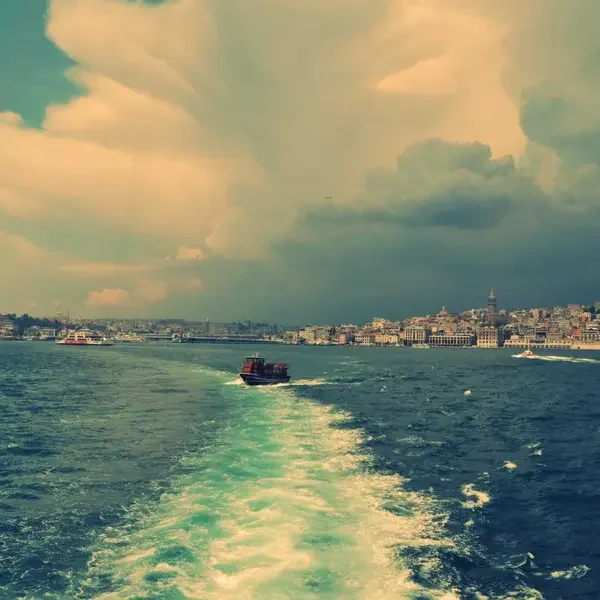 Demo Ürün 1 (Demo)