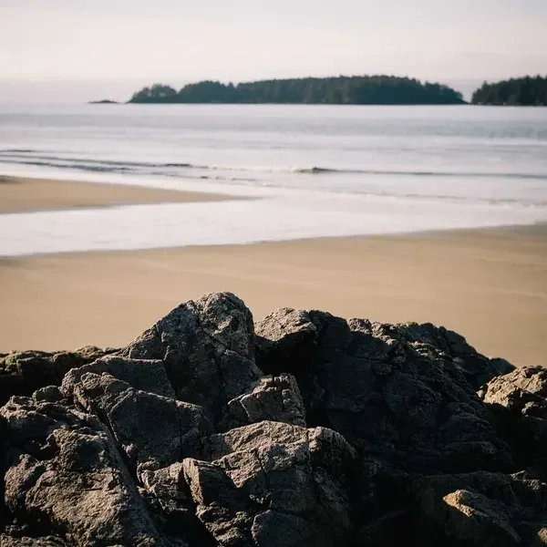 İndirim 2 (Demo)