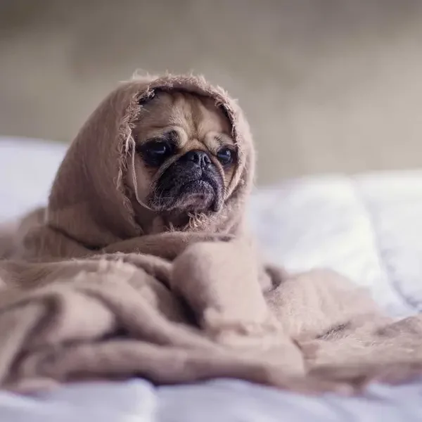 Demo Ürün 3 (Demo)